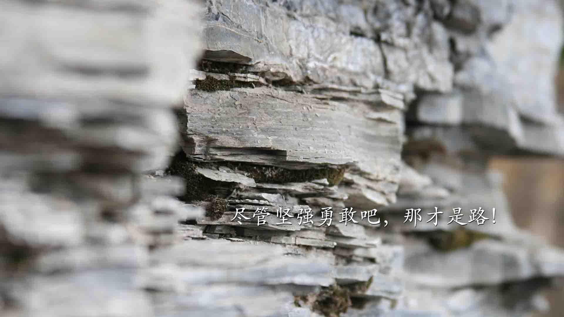 以下克上！76人爆冷拔塞，马克西独舞，谁还记得那个武切维奇？