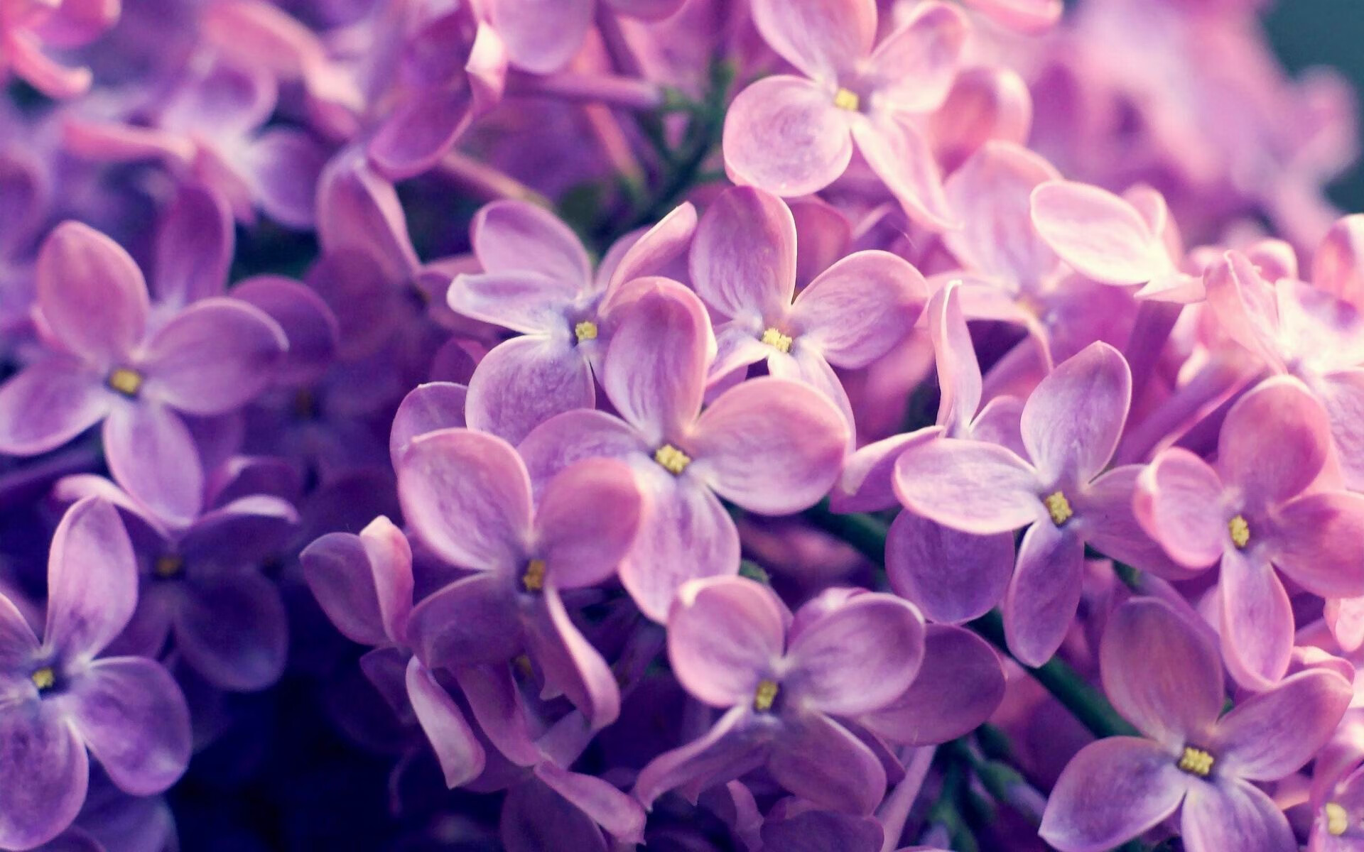 马德里德比惊现新王！阿什拉夫一锤定音，皇马遭同城死敌全面压制